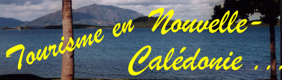 www.foreziens-en-caledonie.com ... Home ... 